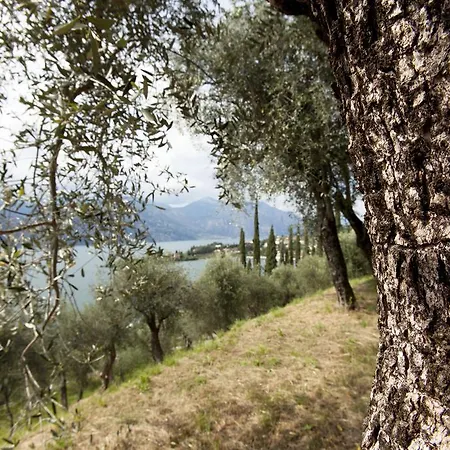 Le Balze Appartamento